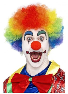 Parrucca Clown Multicolor