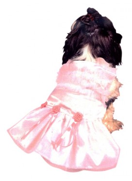 Costume Cane Sposa