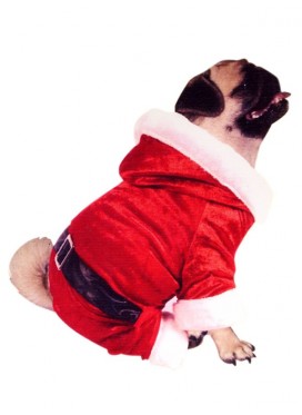 Costume Cane Babbo Natale