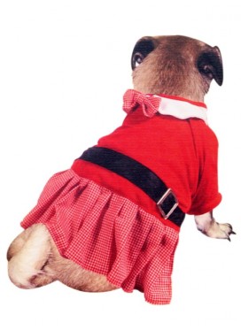 Costume Cane Babba Natale