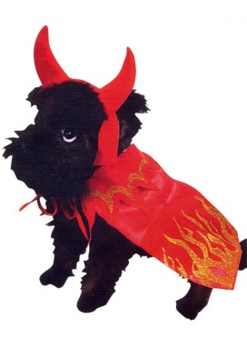 Costume Cane Diavoletto