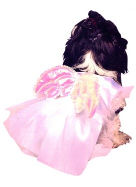 Costume Cane Principessa Angelo