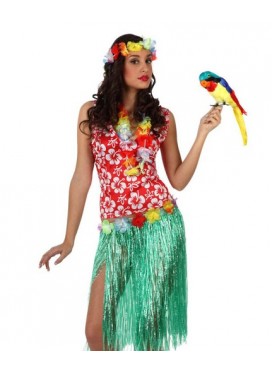 Costume Hawaiana