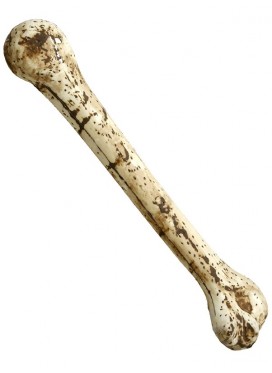 Osso Scheletro