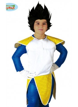 Costume Dragonball