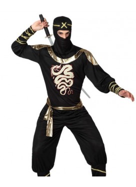 Guerriero Ninja