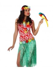 Costume Hawaiana 
