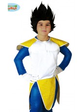 Costume Dragonball