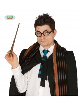 Bacchetta Harry Potter