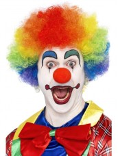 Parrucca Clown Multicolor