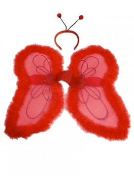 Ali Fata Coccinella e Cerchietto