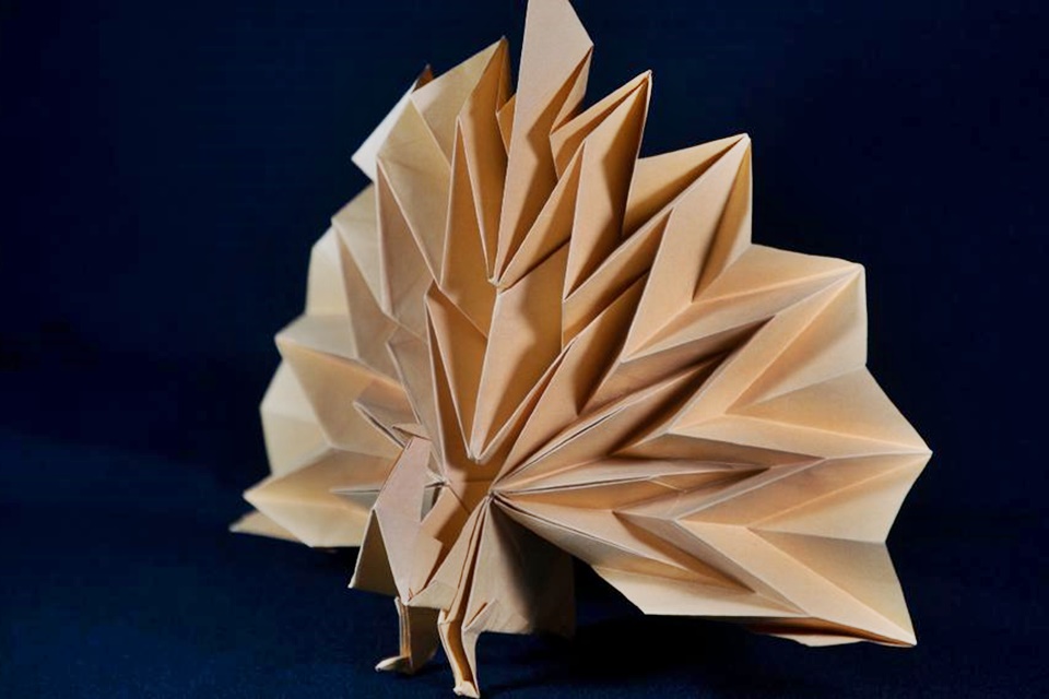 origami- 2